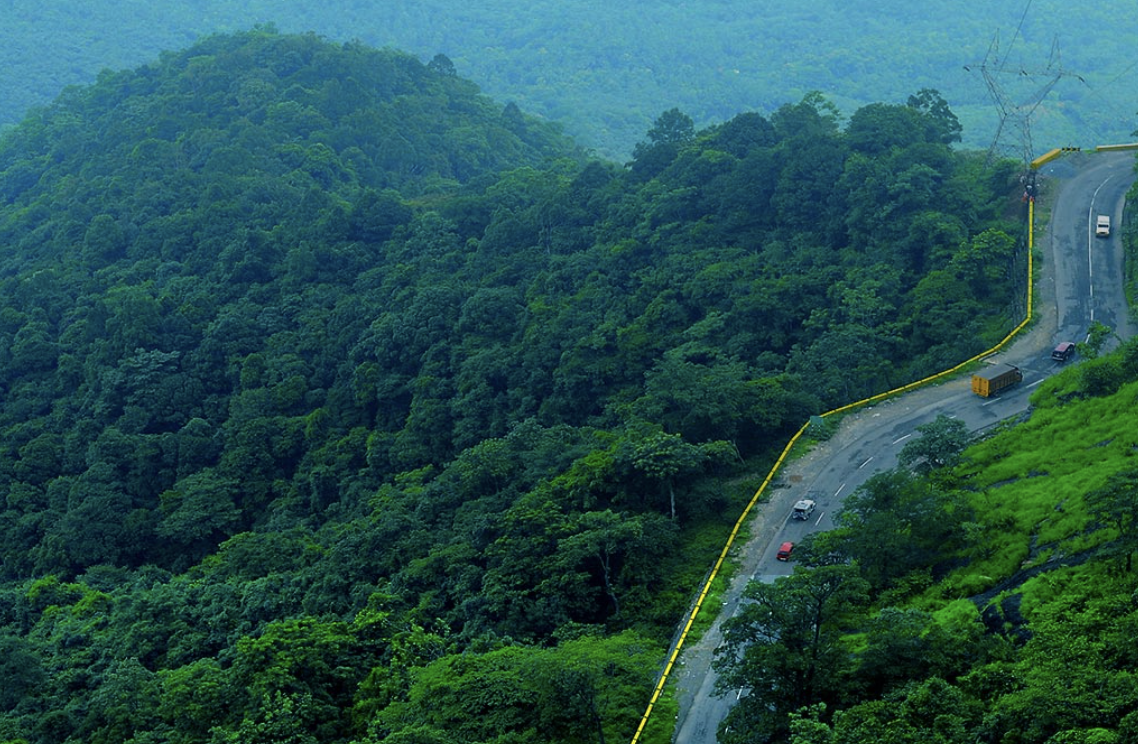 Bangalore to Wayanad Road Trip